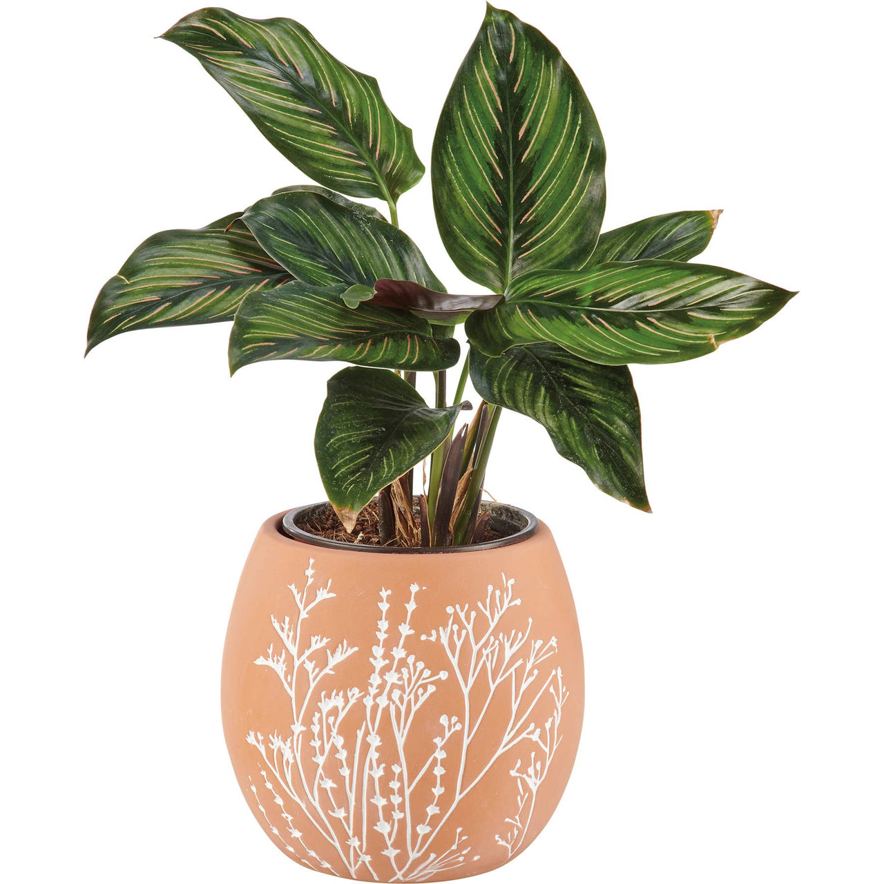 Wildflowers Pot
